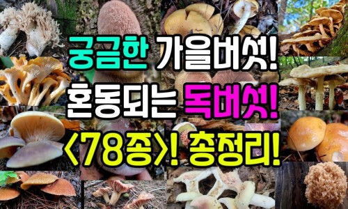 洗脸用什么皂洗最好-洗脸用什么香皂-洗脸专用的香皂,中国洗脸用什么香皂杀菌效果好网站