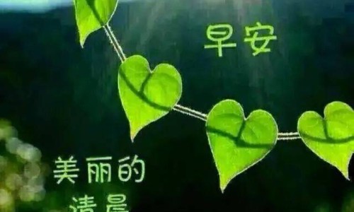 洗脸洗澡用哪种香皂好-洗脸用什么香皂-洗脸专用的香皂,中国洗脸用什么香皂杀菌效果好网站