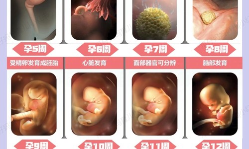 洗脸用什么香皂比较好-洗脸用什么香皂-洗脸专用的香皂,中国洗脸用什么香皂杀菌效果好网站